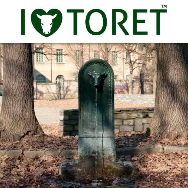 Un Soffice Nido Nel Cuore Di Turin